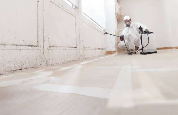 24/7 Emergency Mold Remediation experts in Nicktown, PA